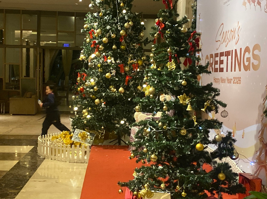 Muong Thanh Grand Quang Nam Hotel主图