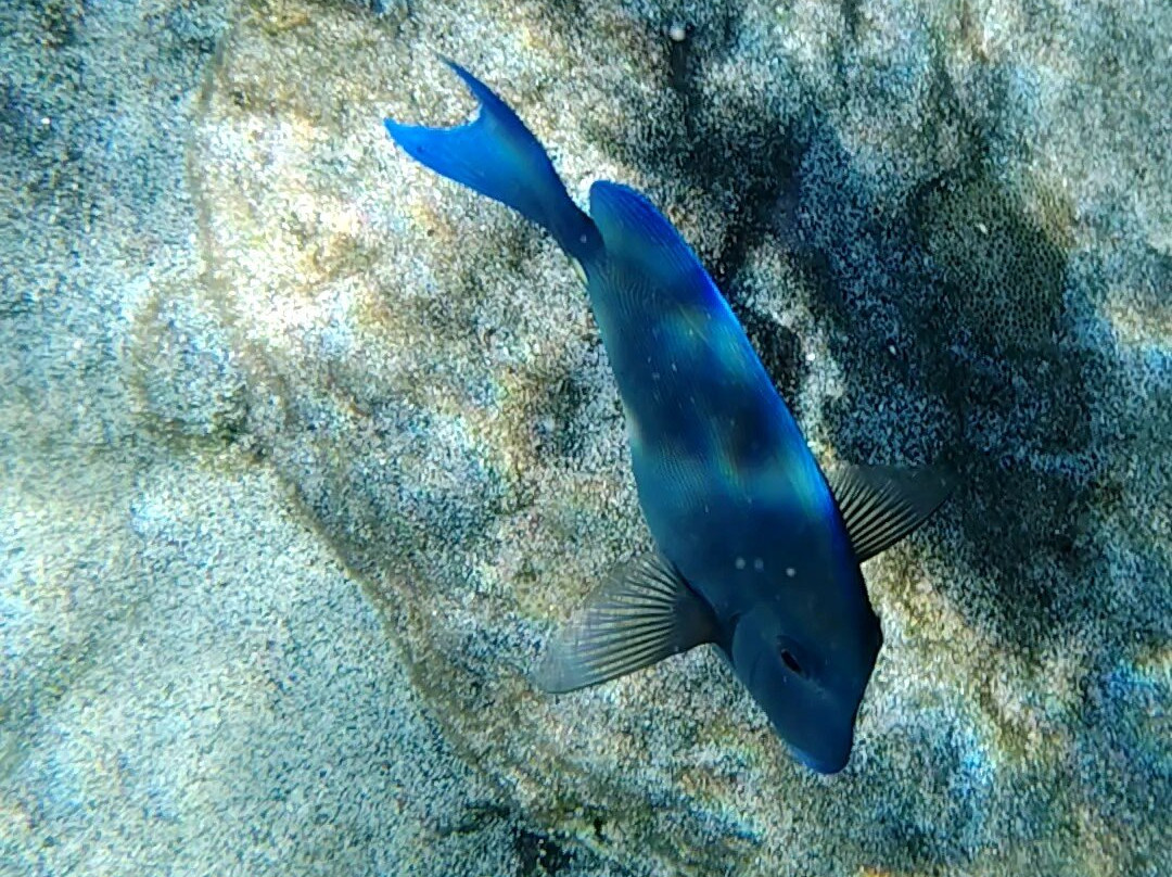 Gwada Pagaie-Bouillante必去景点