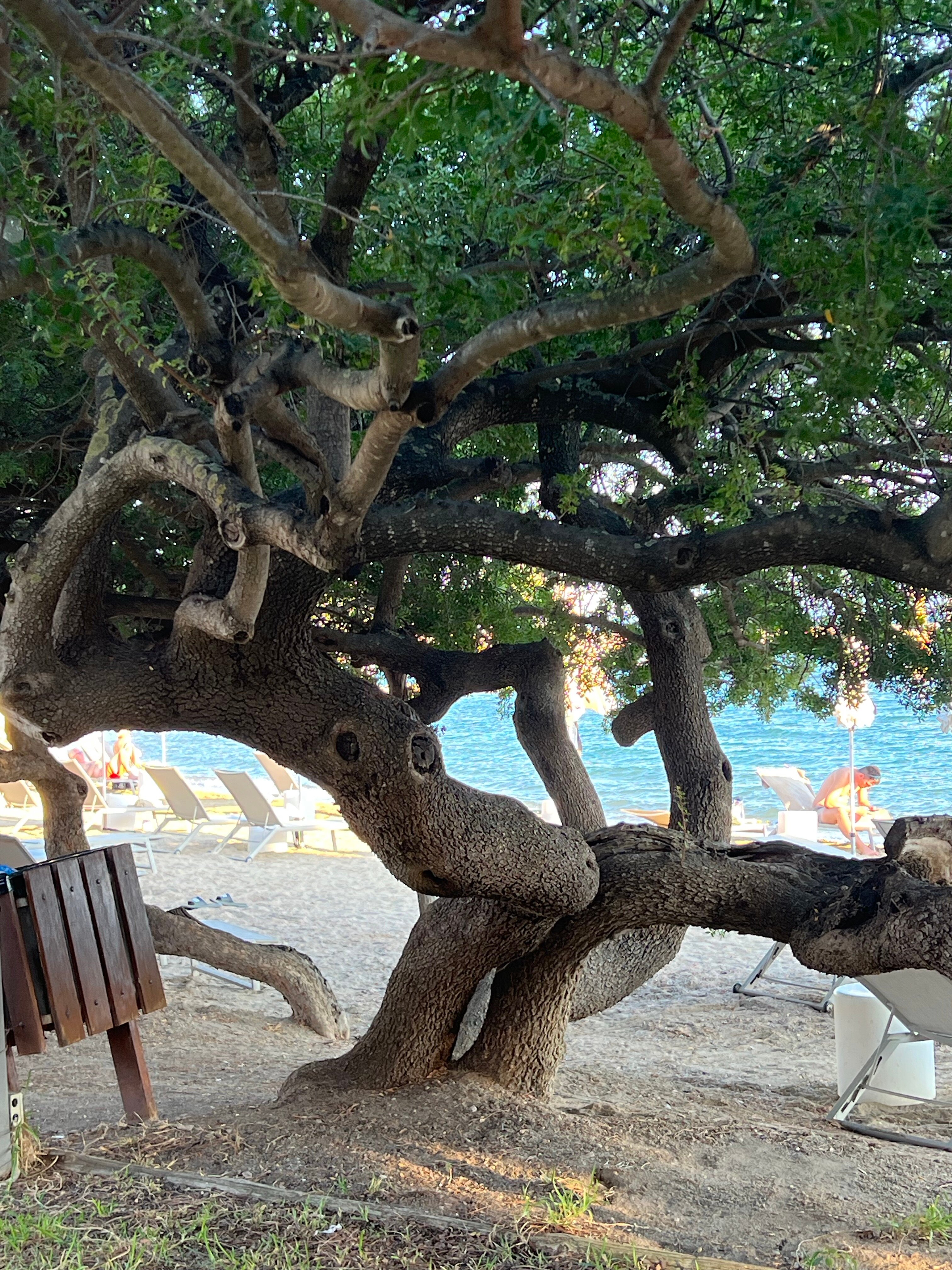 Negroponte Resort Eretria-泳池