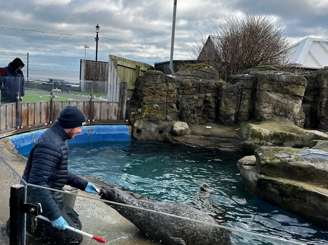 Sea Life Scarborough-斯卡伯勒必去景点