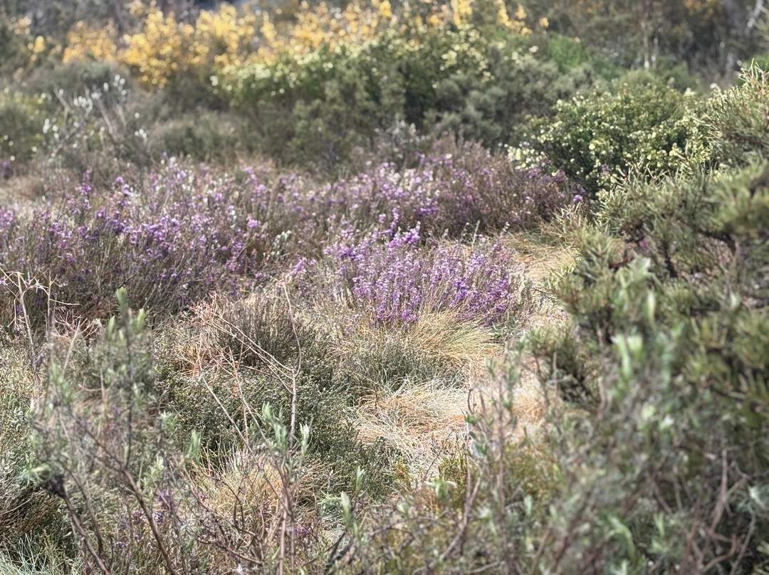 GirlsTrek-布里斯班必去景点