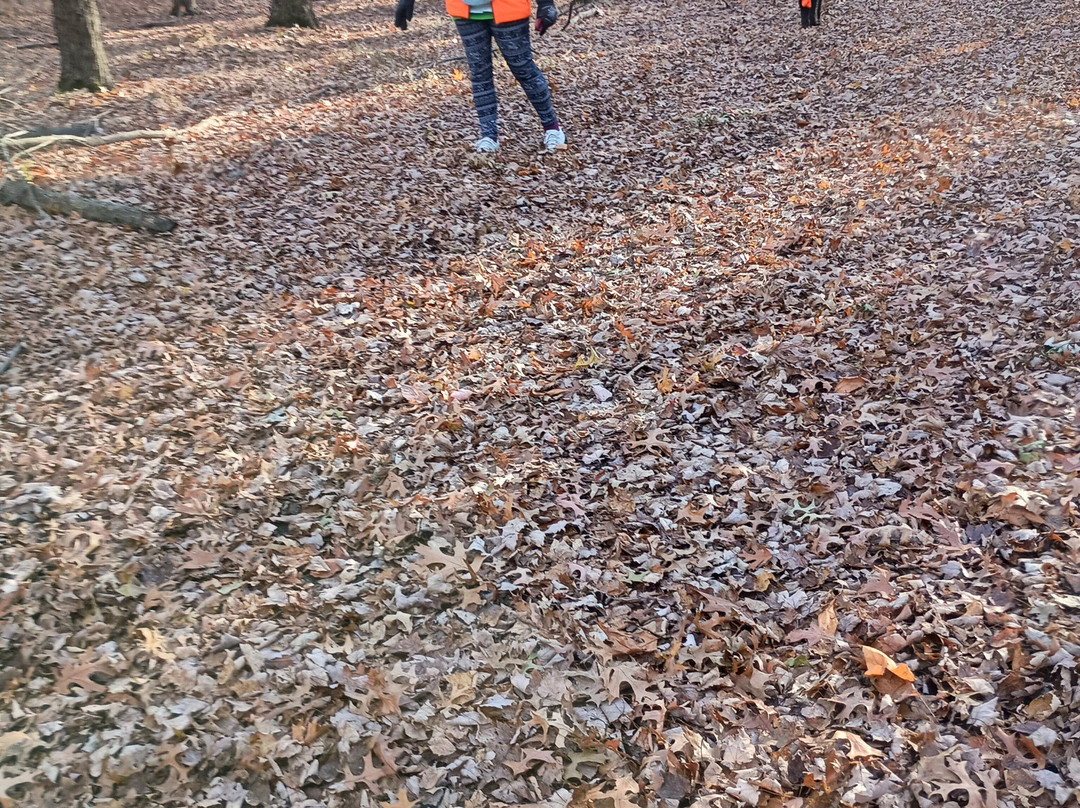 Algonac State Park-Marine City必去景点