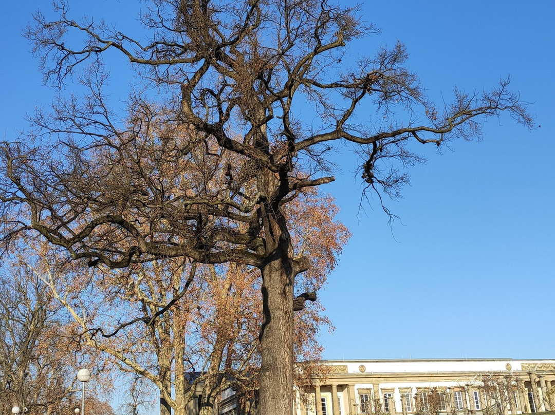 Schlossgarten-斯图加特必去景点