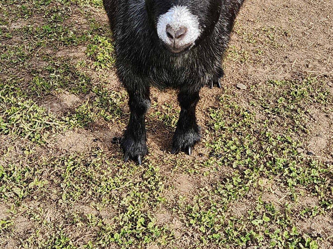 Eagle Eye Farm-River Falls必去景点