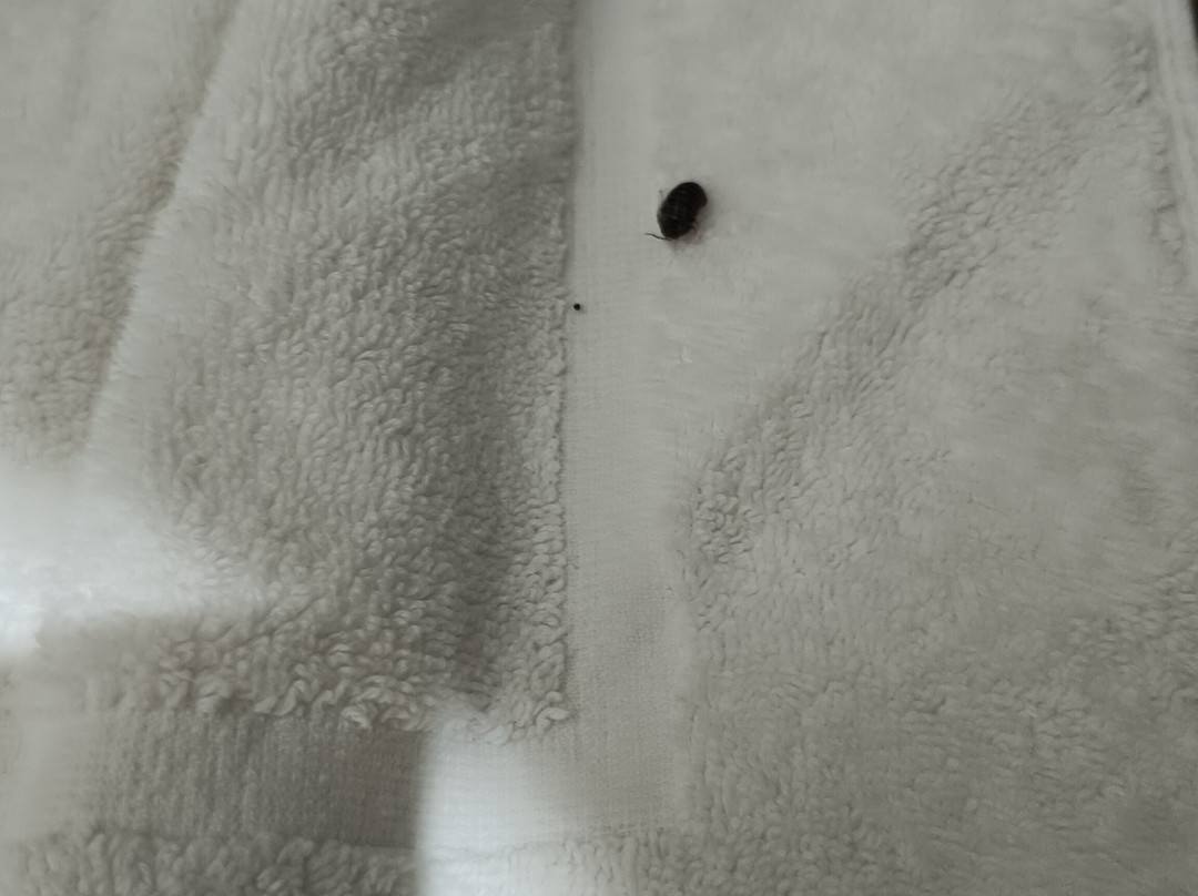 Sisula Country Hotel & Spa主图