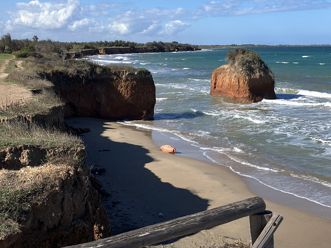 Torre Guaceto Boa Gialla-Carovigno必去景点