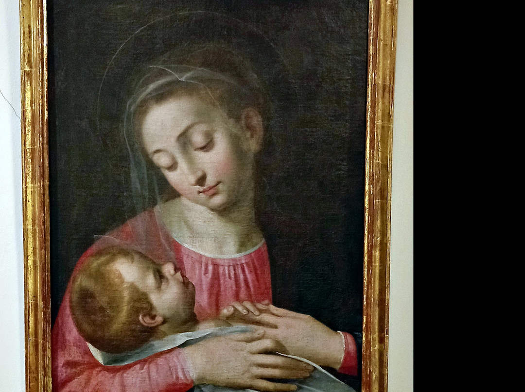 Museo Diocesano de Arte - Palacio Episcopal-帕伦西亚必去景点