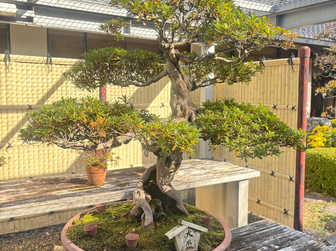 Ogaki City Folk Museum-大垣市必去景点