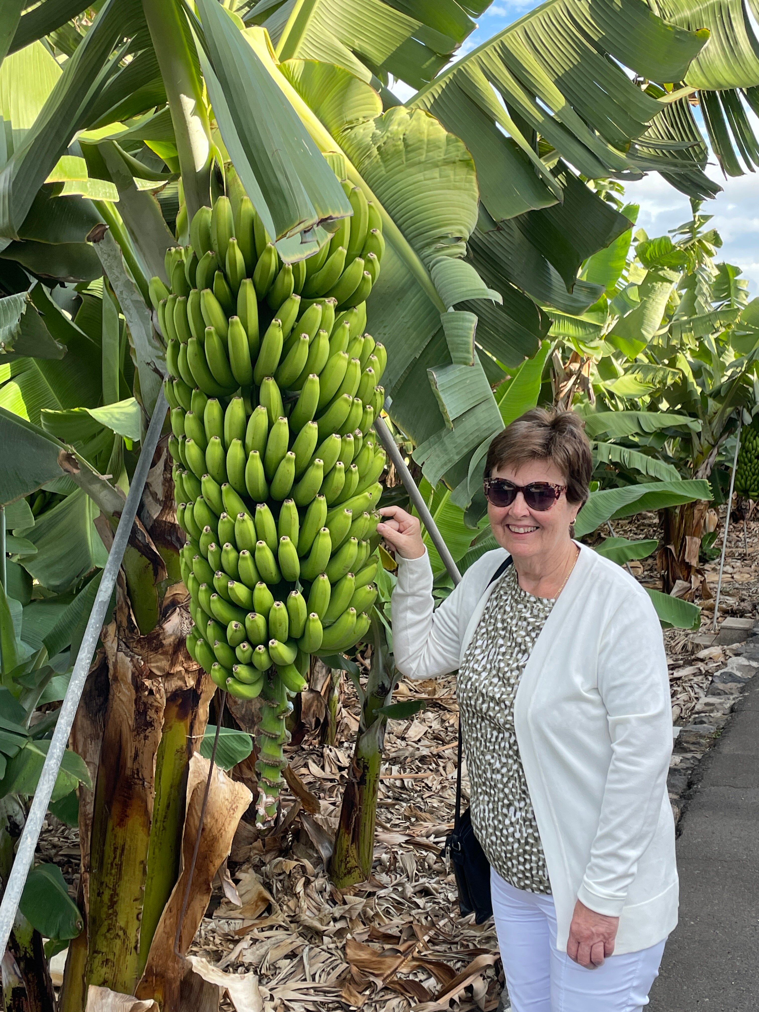 Hotel El Patio-官方