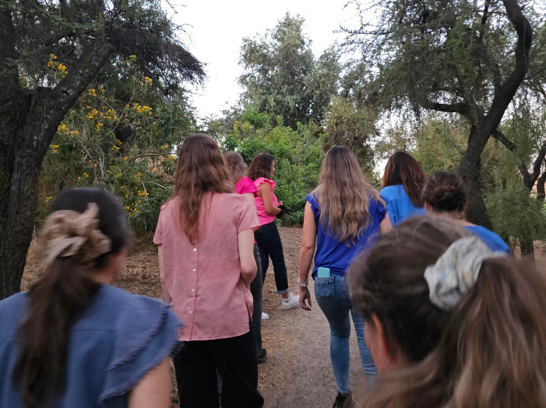 Cuatro Almas Wines-Buin必去景点