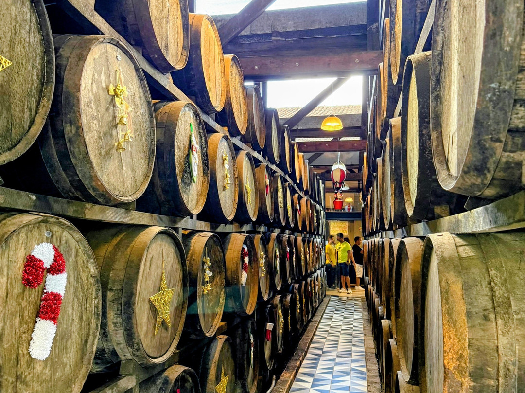 Destilaria Monte Verde-蒙特贝尔德必去景点