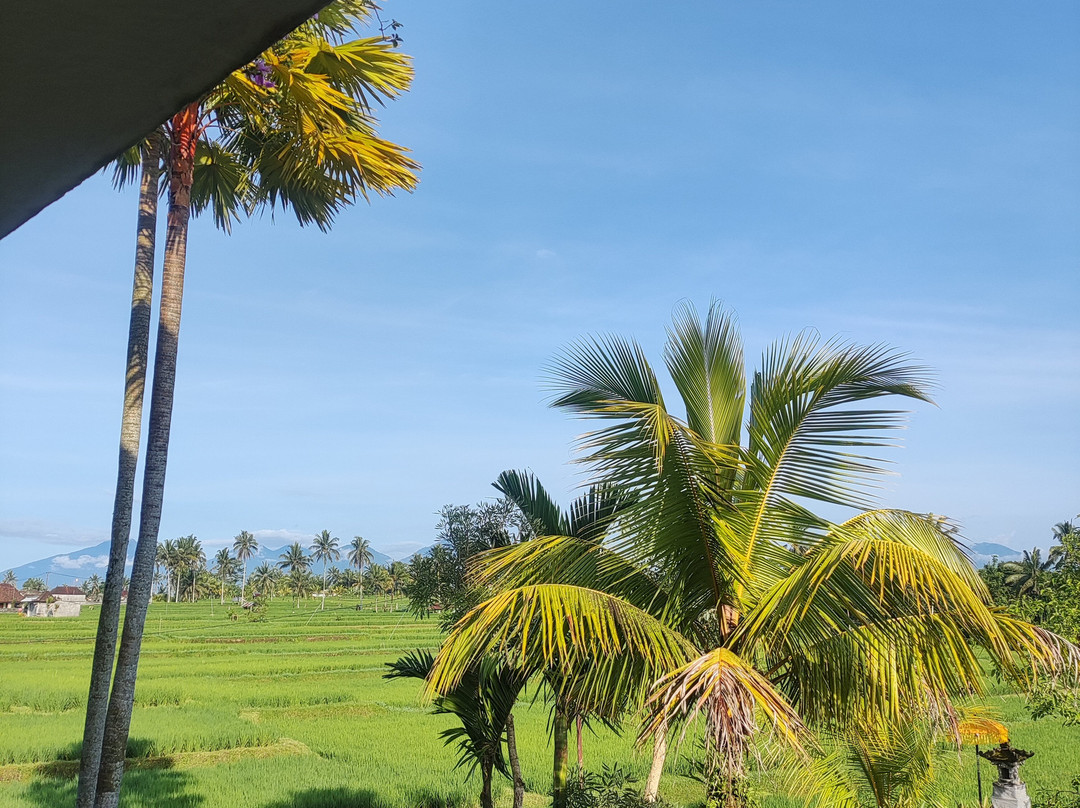 The Nenggala Suite主图