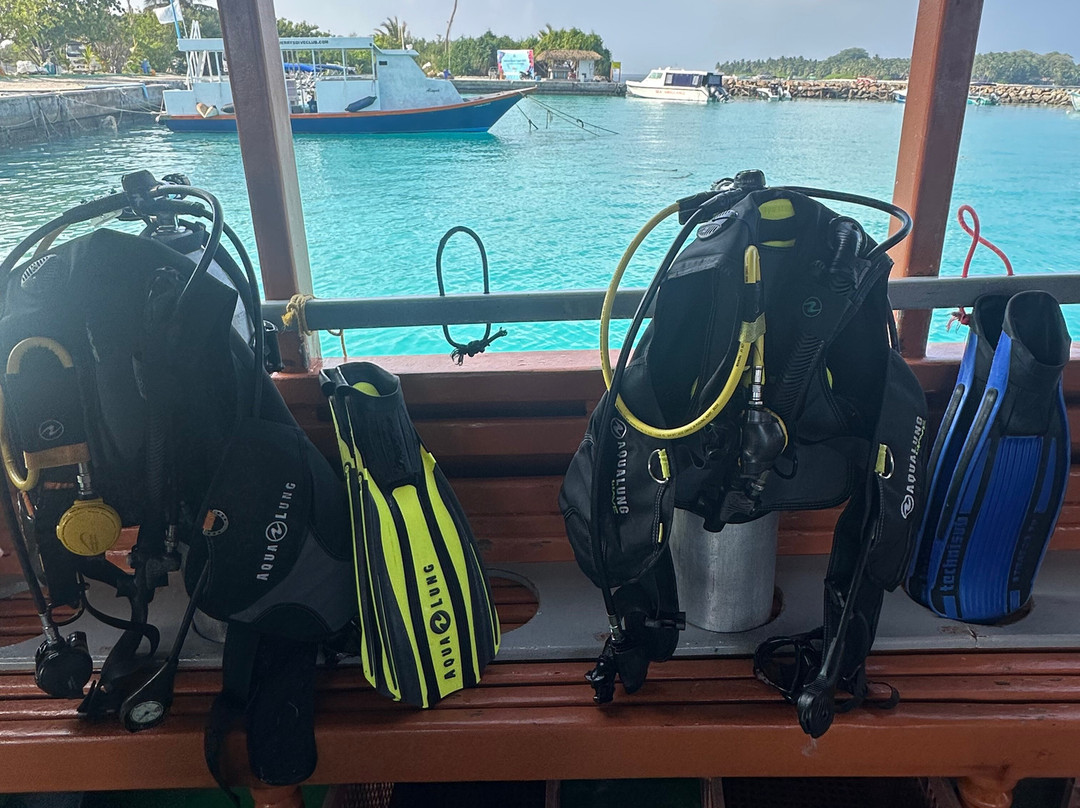 Family Divers Maldives-拉斯胡必去景点