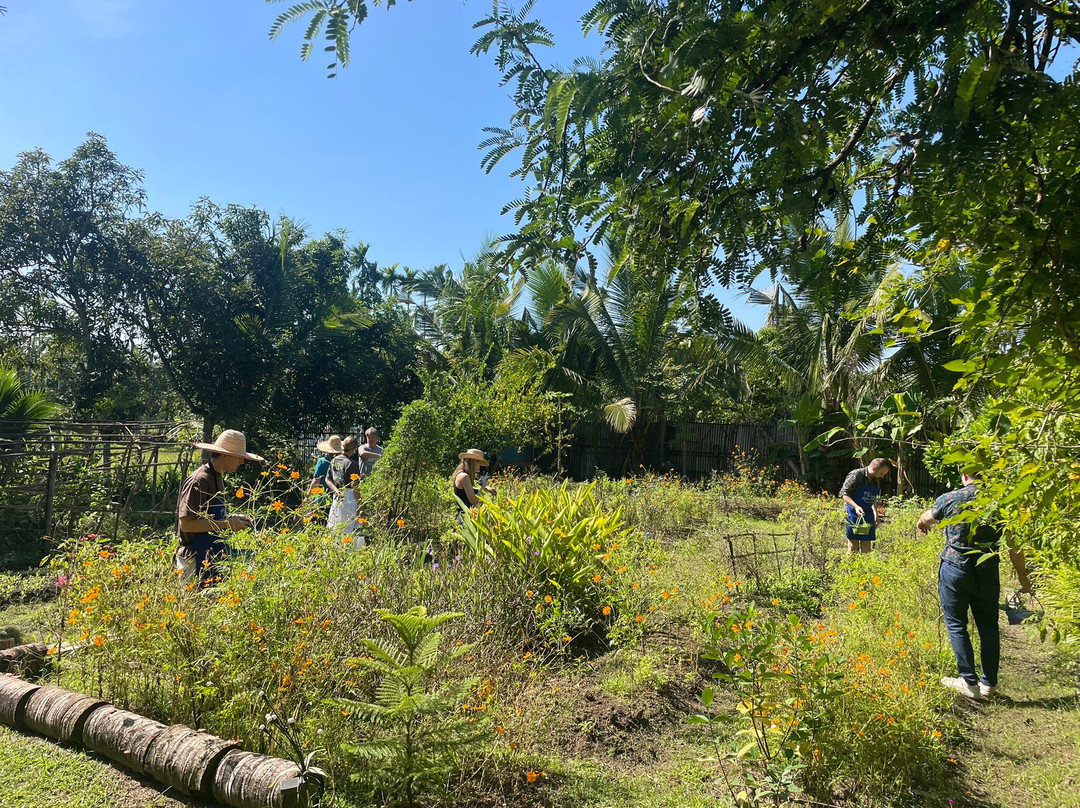 Thai Secret Cooking School-讪柿必去景点