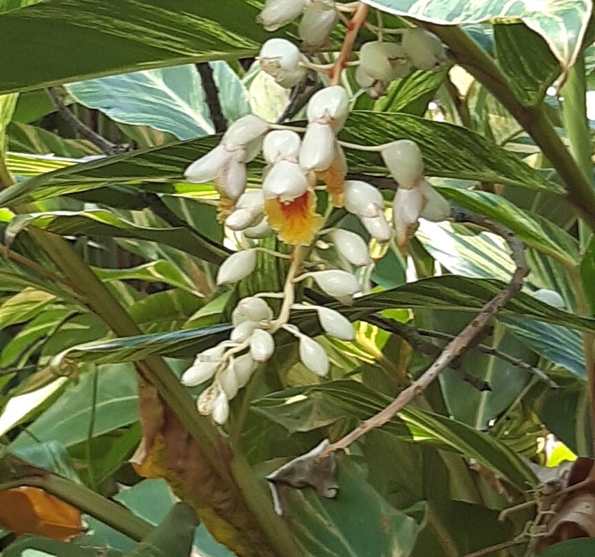 Jardin d'Eden-圣吉尔莱班必去景点