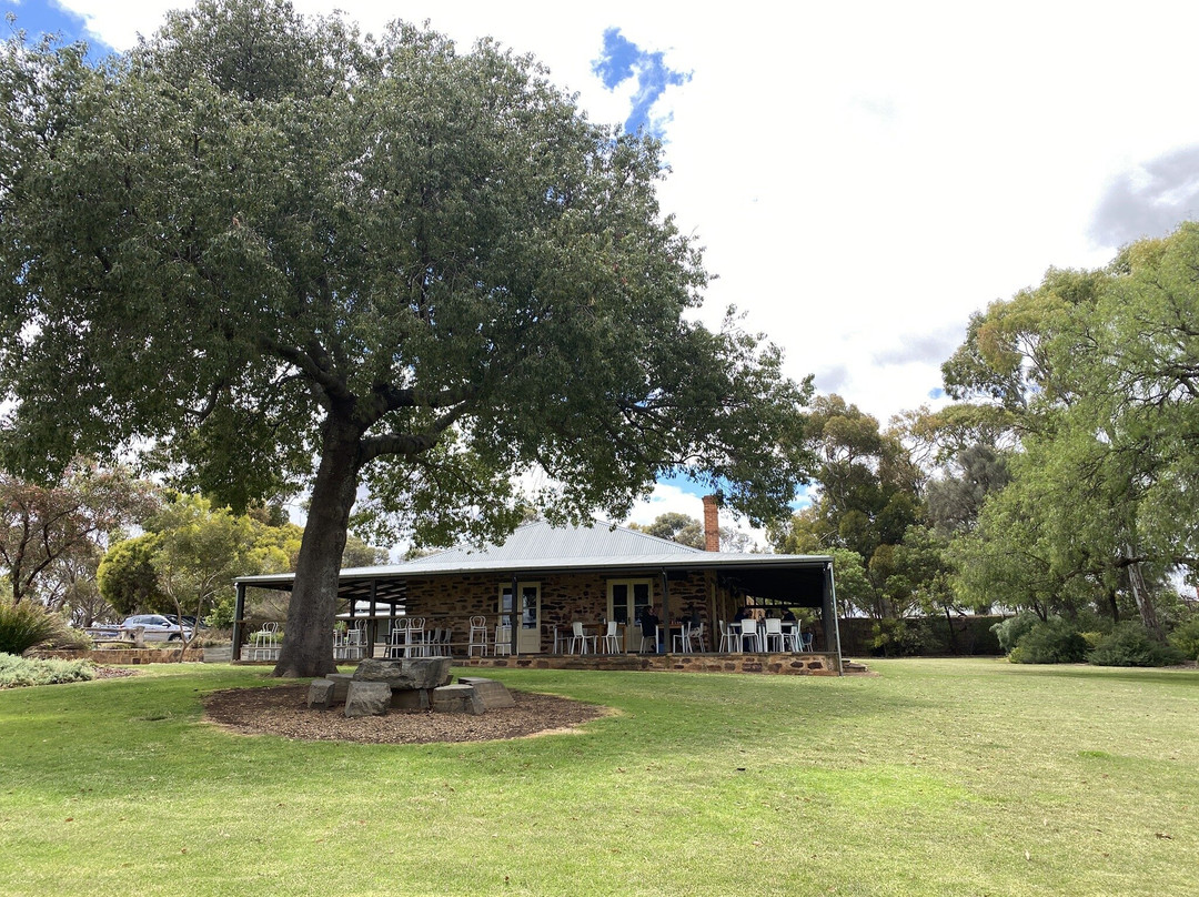 Pindarie Winery-塔努达必去景点