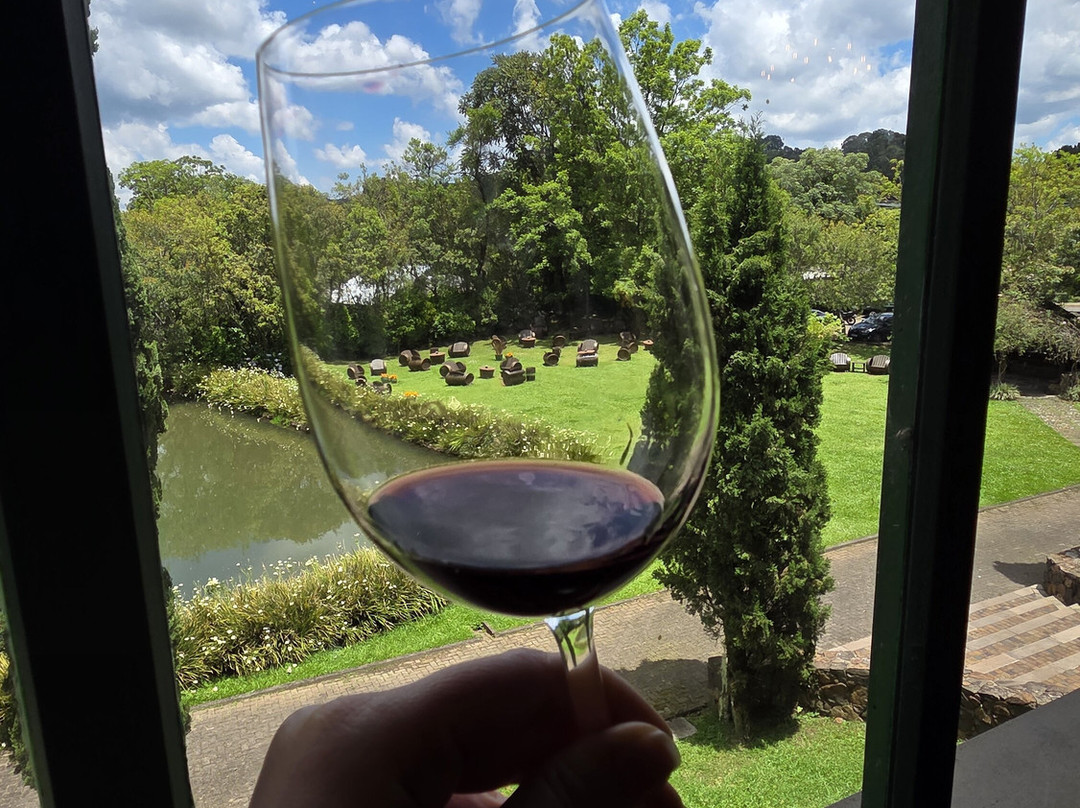 Vinícola Ravanello-格拉玛多必去景点