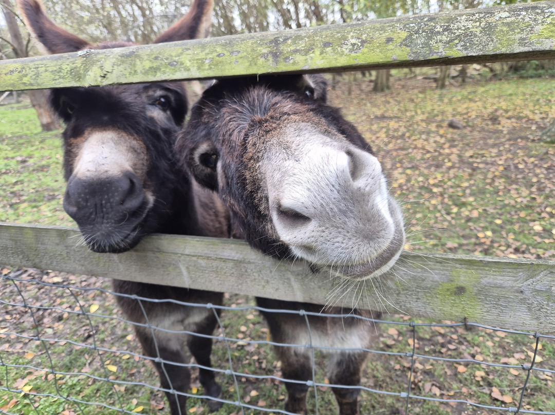 Huckleberry Woods-Faversham必去景点