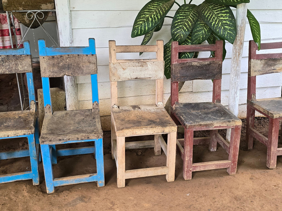 Authentic Tour Delivery-null必去景点