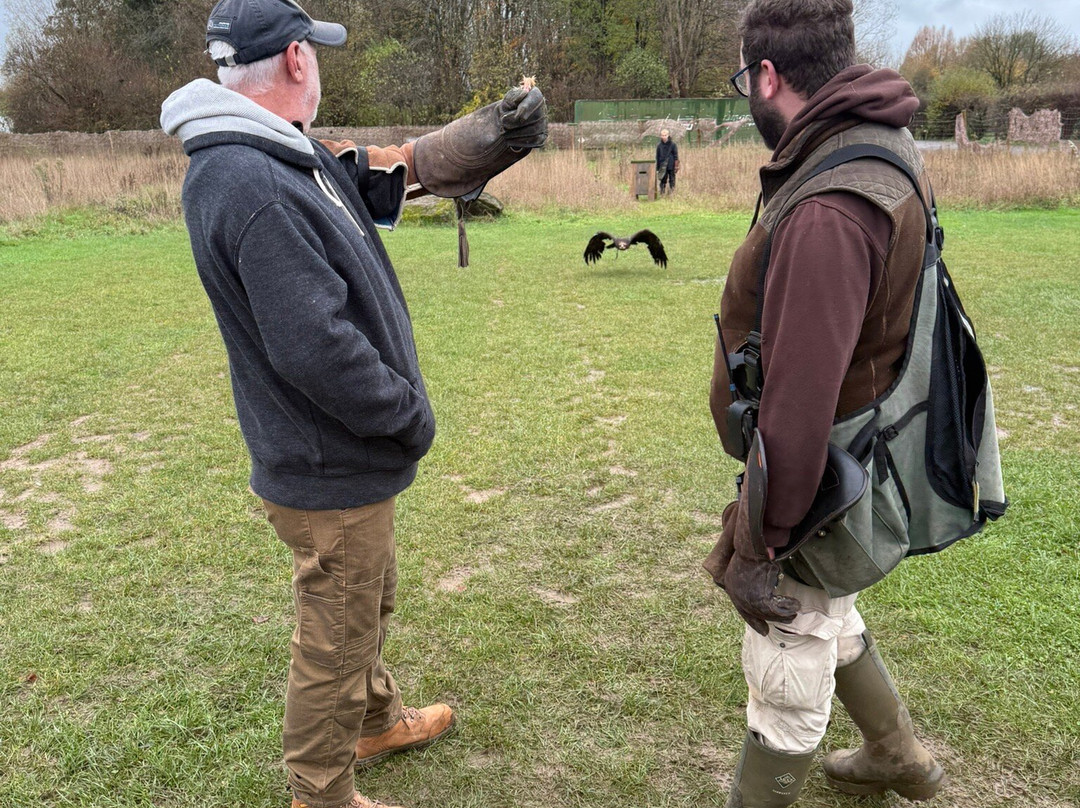 Millets Farm Falconry Centre-弗里福德希斯必去景点