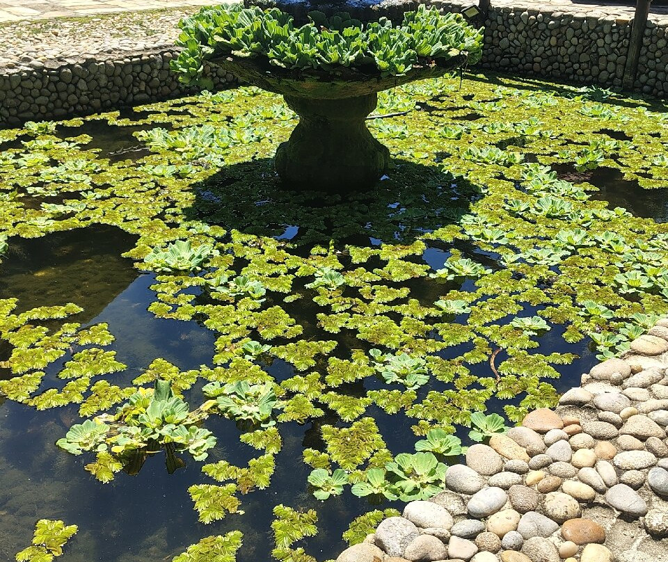 Lelumuseo Museu De Brinquedos-Penedo必去景点