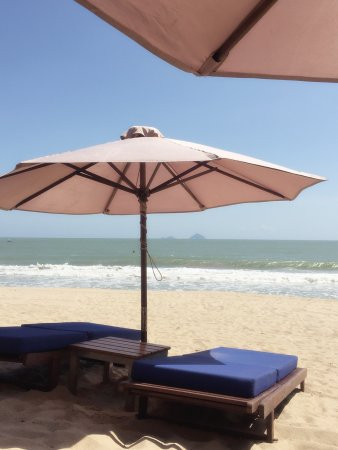 芽庄喜来登度假酒店主图