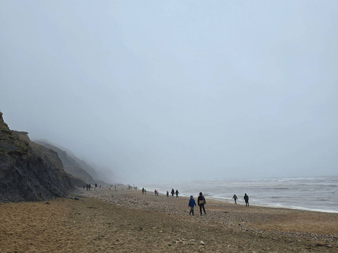 Charmouth Beach-Charmouth必去景点