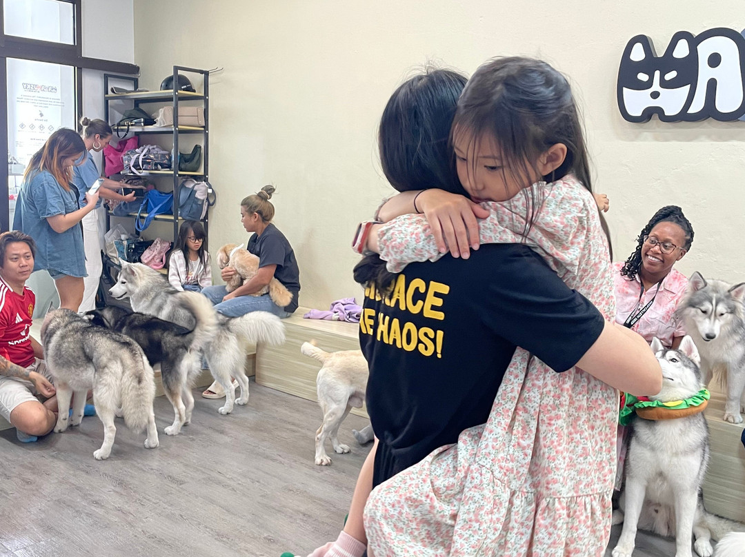 Hahahusky-马六甲必去景点