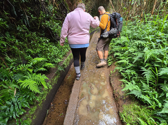 Hiking Island-马德拉群岛必去景点
