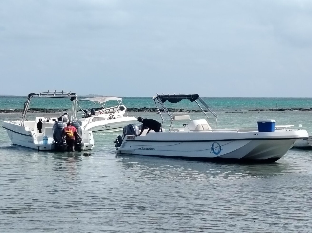 Blue Vibes-开普马欧呵必去景点