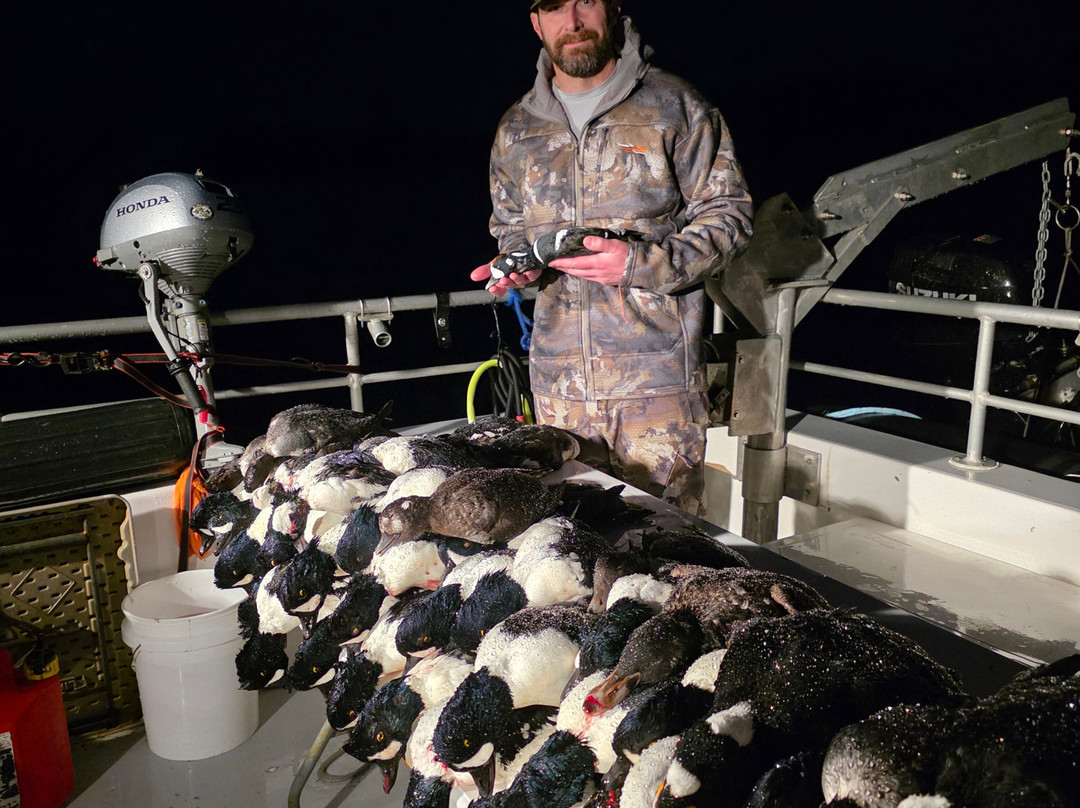 Crazy Rays Adventures-惠提尔必去景点