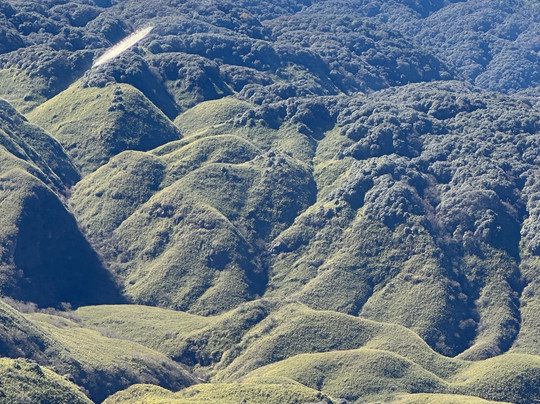 Dzukou valley-Zakhama必去景点