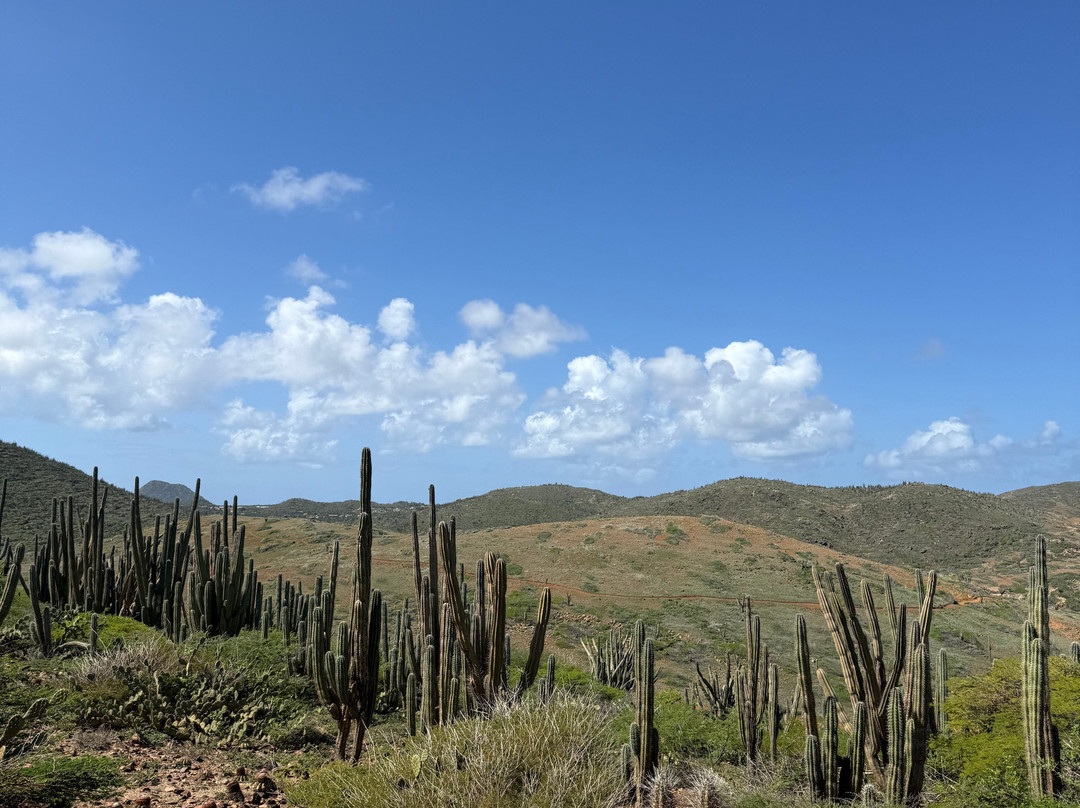 Fofoti Tours & Transfers-奥腊涅斯塔德必去景点