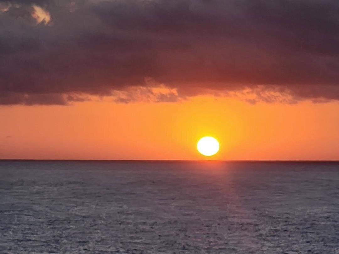 Go Port-卡纳维拉尔港必去景点