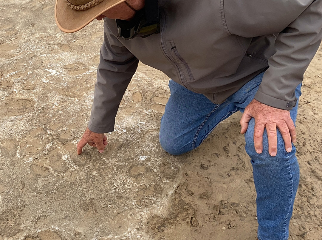 Kuiseb Delta Adventures-华维斯湾必去景点