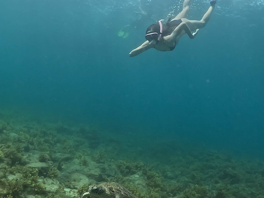 Bruno Galvão-费尔南多-迪诺罗尼亚群岛必去景点