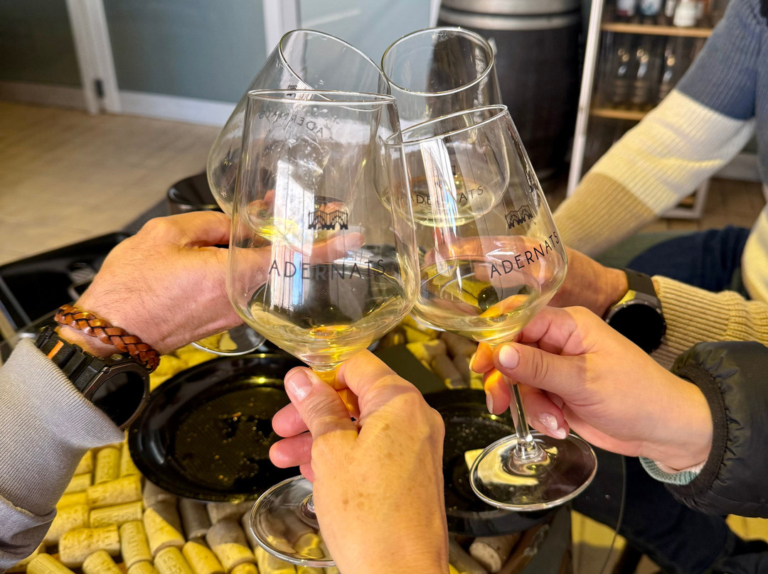 Adernats - Winery of Nulles-Nulles必去景点