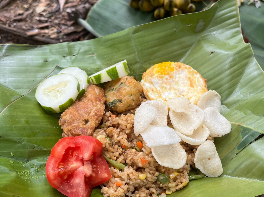 Sumatra Orang Utan Treks-武吉拉旺必去景点