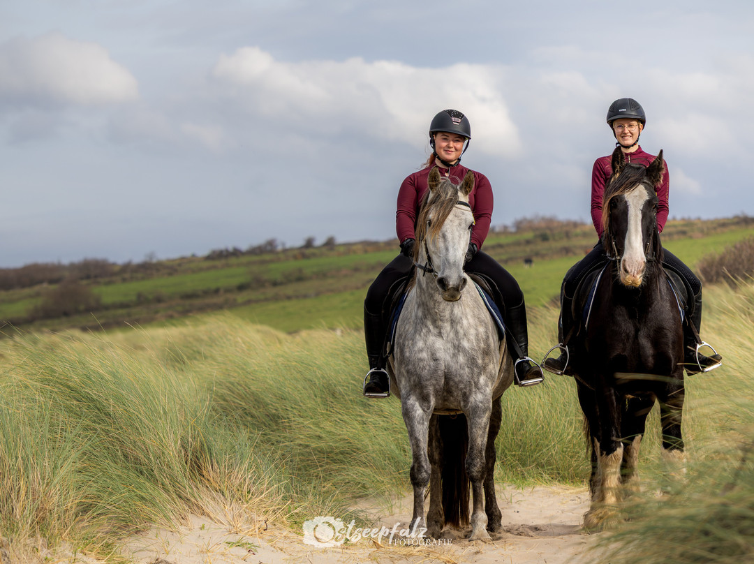Island View Riding Stables-Grange必去景点