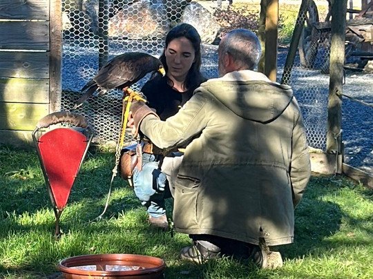 Parc aux Rapaces - Fauconnerie Marche - Madiran-Saint-Lanne必去景点
