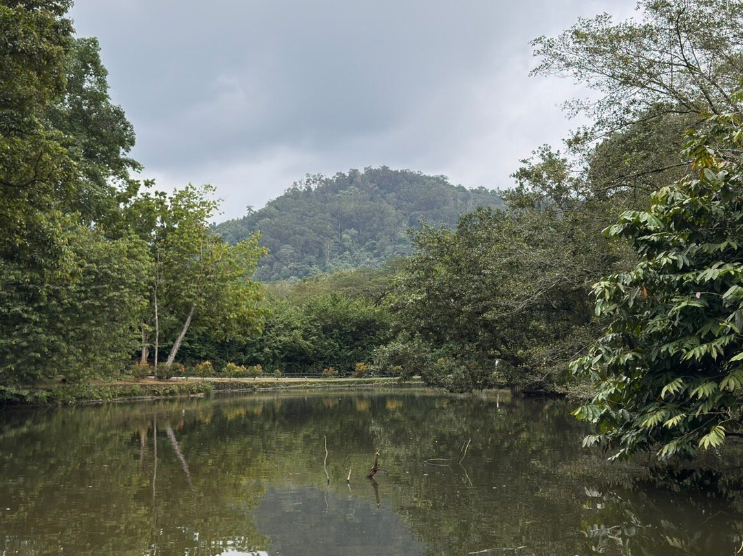 Taiping Lake Gardens-太平必去景点