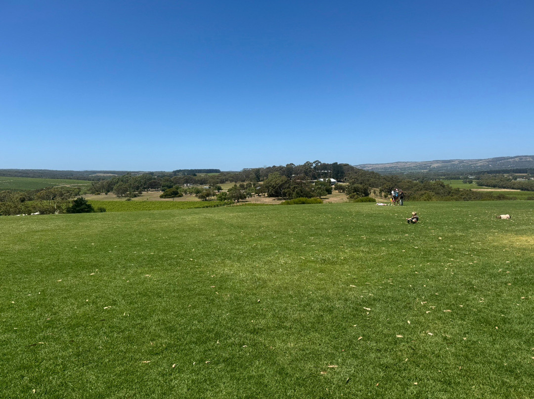 Chalk Hill Wines-麦克拉伦谷必去景点