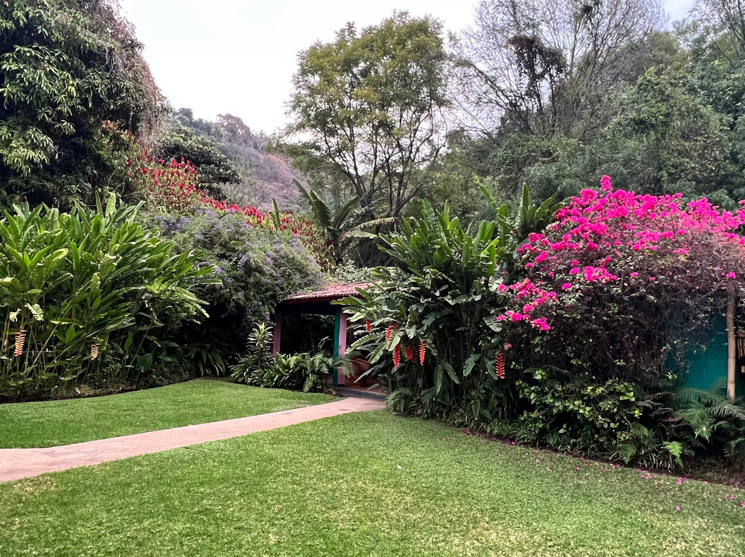 Hotel Agua Blanca主图