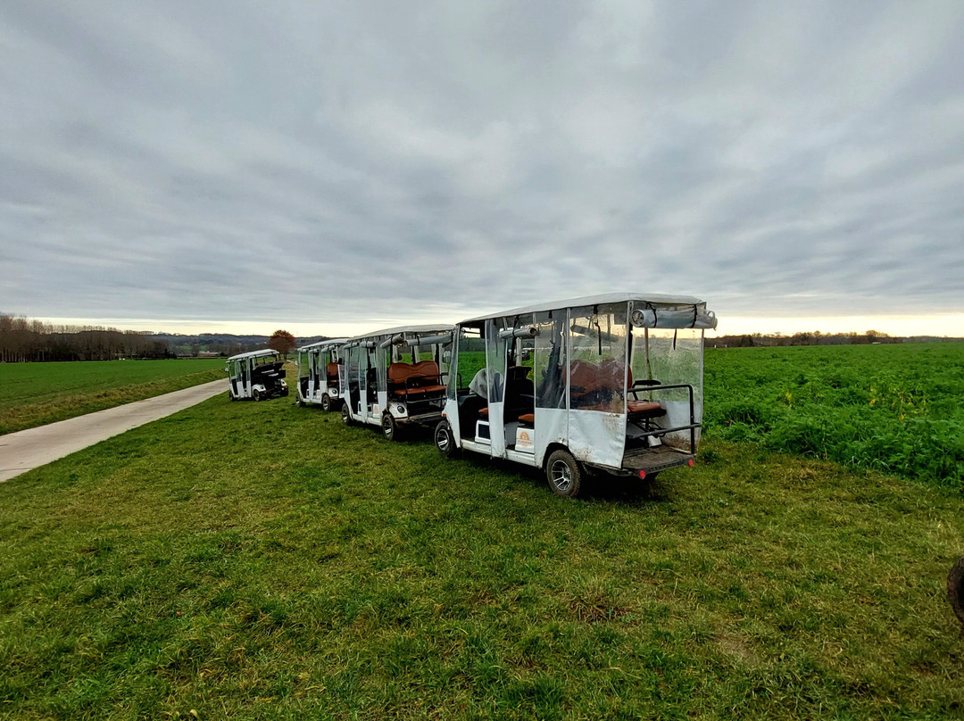 Wijnsafari in Haspengouw (Borgloon)-Borgloon必去景点