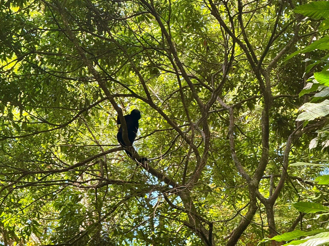 Costa Adventures-圣何塞必去景点