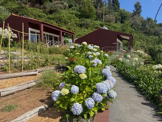 Yeotown Madeira Health Retreat-浴室