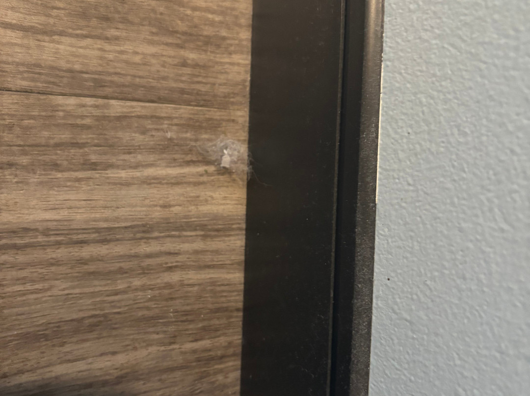 Hotel Vandivort主图