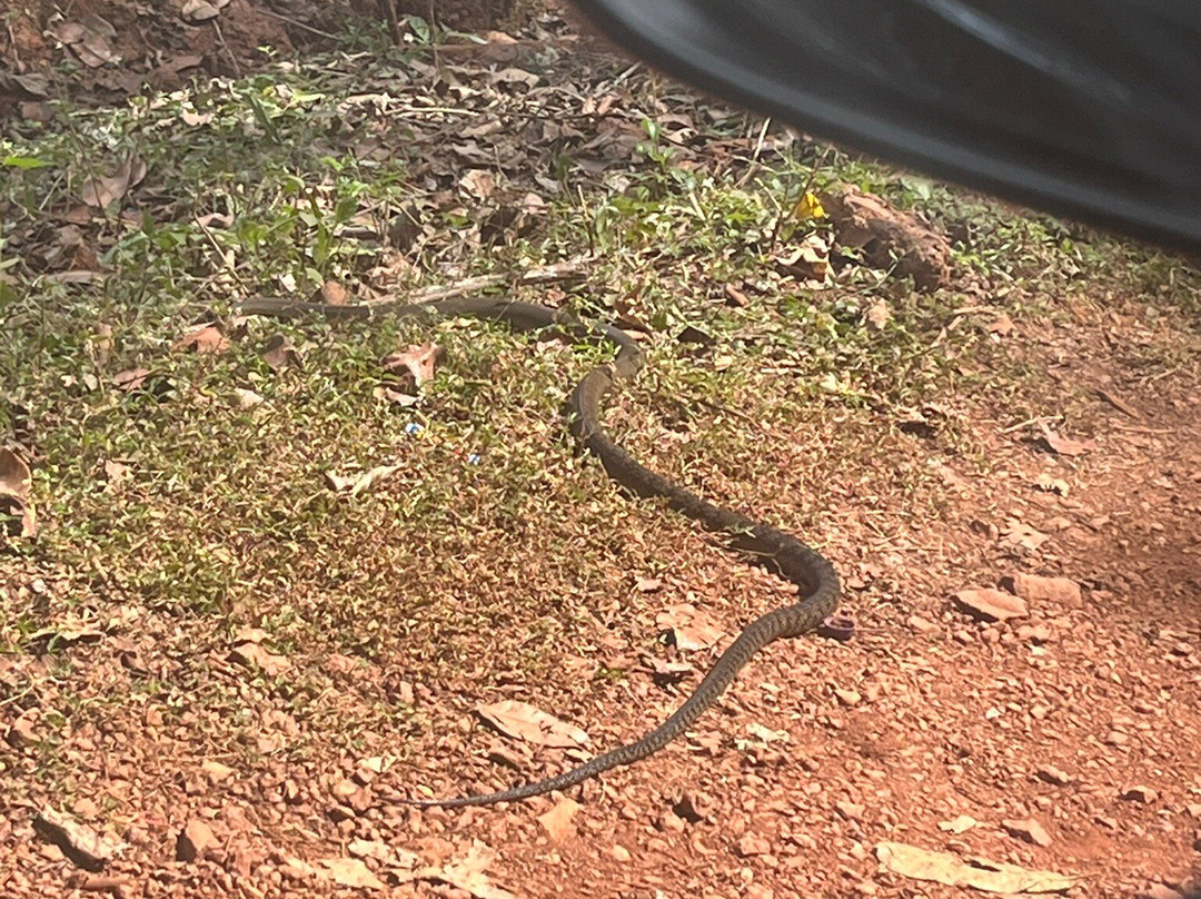 Tropical Spice Plantation-Ponda必去景点