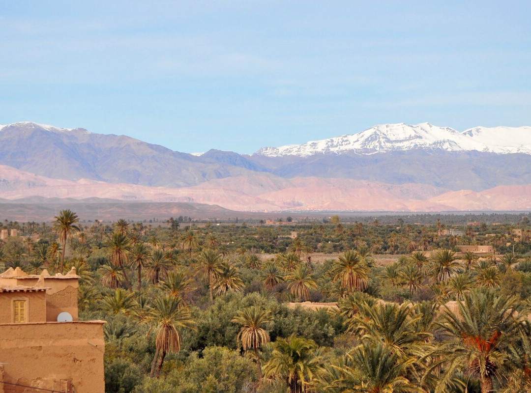 Journey Beyond Travel-Ifrane必去景点