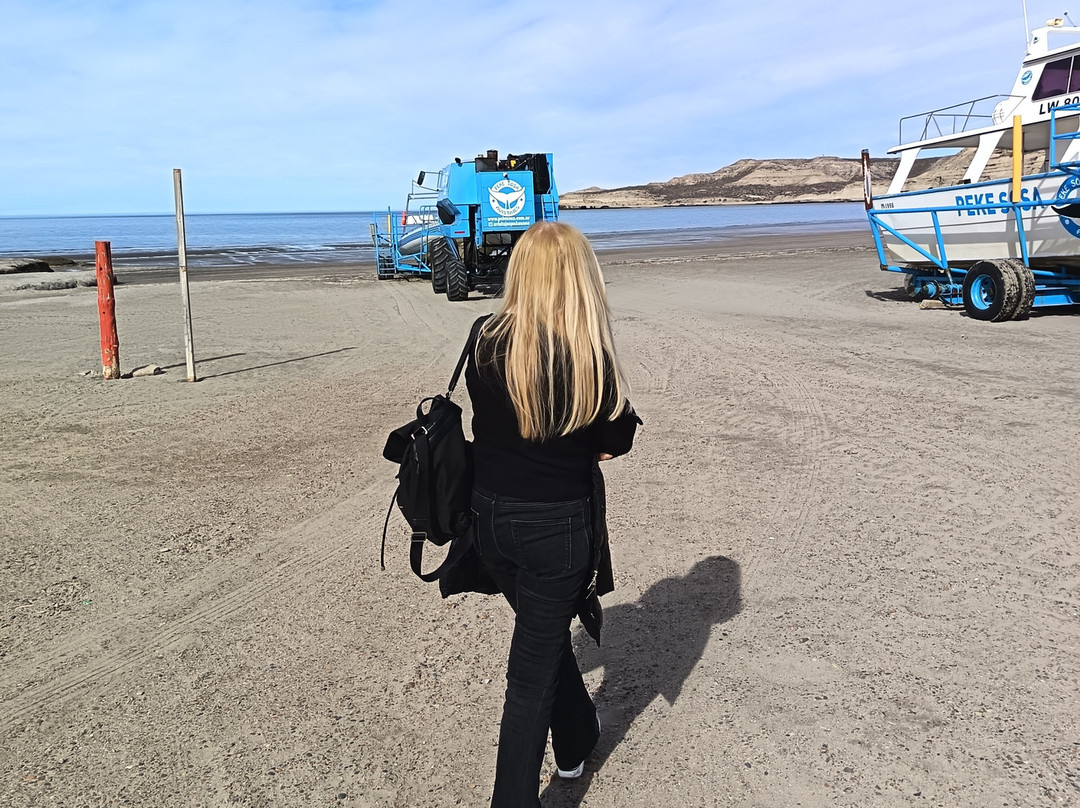 瓦尔德斯半岛-马德林港必去景点